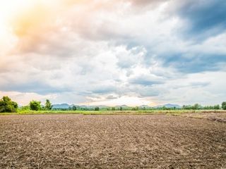 Land on sale