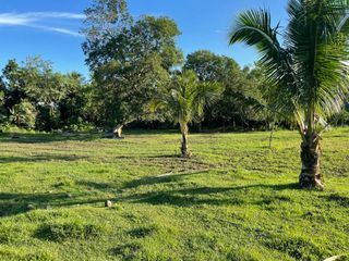 For Sale! 4,007 SQM Residential or Farm Lot use Good for Pocket Resort Type, near National road