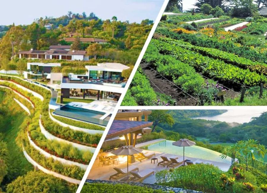 Amonsagana: Premium Residential Lots for sale in Balamban, Cebu