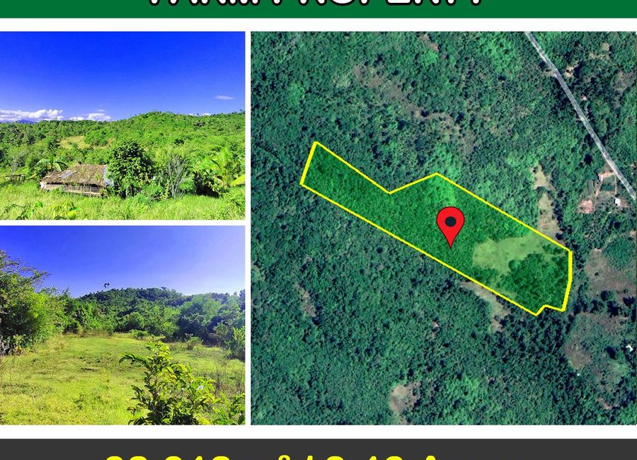 32,912 m2 / 8.13 Acres | High Potential Homestead Farm Estate