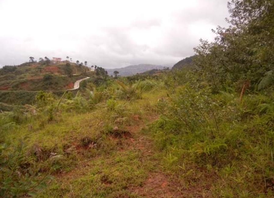 5000 Sqm Lot with Panoramic View in Taloy Sur, Tuba, Benguet