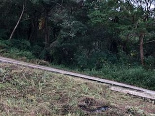 150 Sqm Lot for Sale in Tuba, Benguet