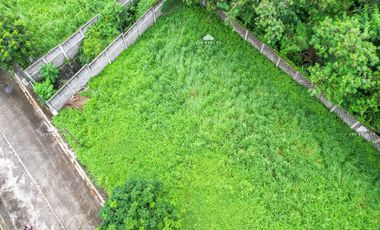 Las Piñas City 348 sqm Residential Lot for Sale at Alabang West