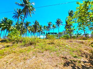 Escape to the tranquil shores of Zamboanguita, where the sun-kissed beaches and azure waters await U
