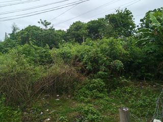 Ibabao 150 sqm - near the third bridge