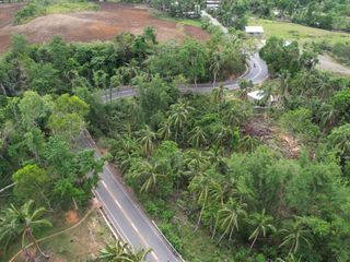 FARM LOT FOR SALE IN BAYAWAN ID 14763