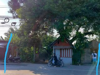 SEMI-COMMERCIAL LOT FOR SALE IN DUMAGUETE ID 14825