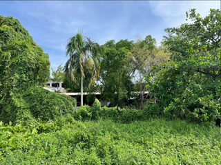 FOR SALE - Vacant Lot in Pag-asa Binangonan, Rizal