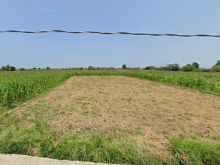 FOR SALE - Raw Land in Brgy Casilian, Bacarra, Ilocos Norte