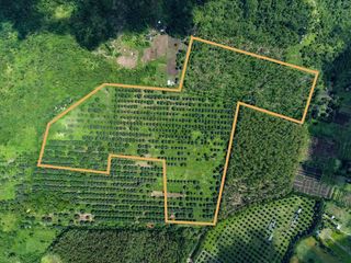 FOR SALE FARM LAND IN ZAMBALES NEIGHBORING CELEBRITY’S FARMS