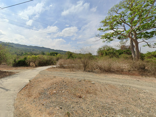 FOR SALE - Raw Land in Brgy Sto Tomas, Sto Domingo, Ilocos Sur