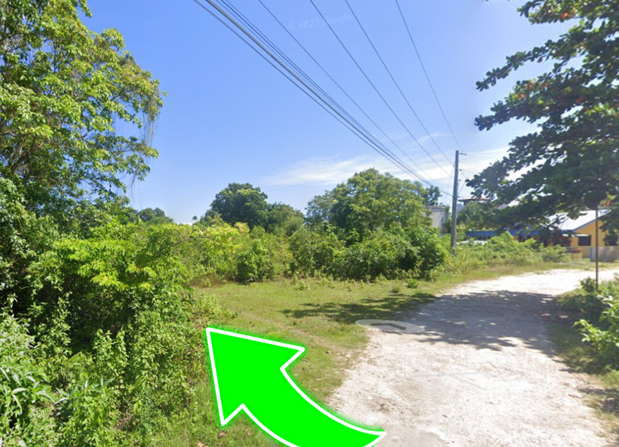 Prime Lot for Sale in Dauis, Bohol: Ideal for Investment or Development