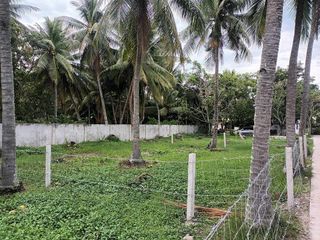 LOT FOR SALE NEAR SILLIMAN UNIVERSITY ID 14832