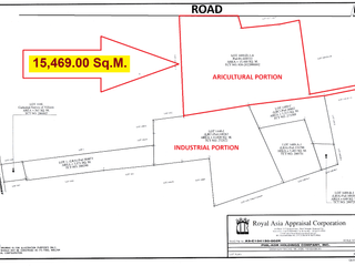 1.55 Has Agricultural Lot For Sale along Bacag Road, behind Wilcon Depot Villasis Pangasinan