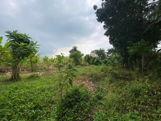 FOR SALE -Lot in Santa Rosa-Tagaytay Road, Silang, Cavite