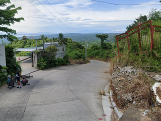 FOR SALE - Lot in Brgy. Niyugan, Laurel, Batangas