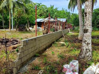 12.3 HECTARES LOT FOR SALE IN BALER, AURORA