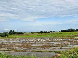 FOR SALE - Agricultural Vacant Lot in Pagbilao, Quezon Province