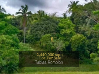 Spacious Lot for Sale in Tablas, Romblon