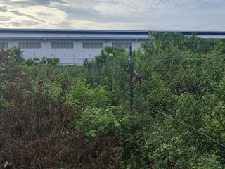 Gabi lot around 2,500 sqm
