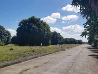 4465sqm vacant industrial vacant lot for sale in Tanza Cavite near Antero Soriano - Centennial Highway