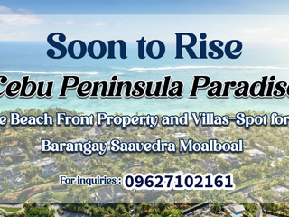 Subdivided Lot for Sale in Moalboal, Cebu