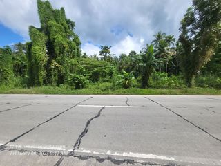 90 SQM COMMERCIAL/RESIDENTIAL ALONG NATIONAL ROAD Yanangan Loay Bohol | BOHOLANA REALTY