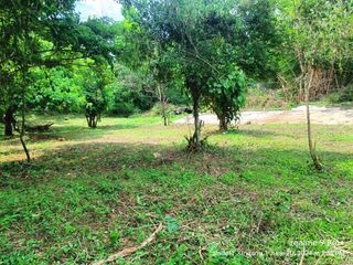 Batangas Farm Lot For Sale