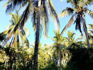 For Sale! 23,808sqm Agricultural or Farm Lot, Sariaya, Quezon
