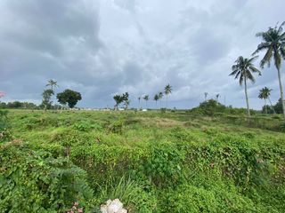 FOR SALE: Prime Residential or Commercial Lot in Carcar, Cebu