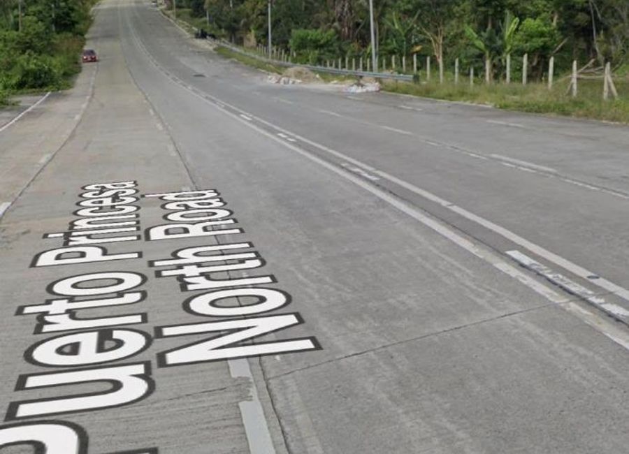 Along Highway Titled Lot for Sale in Palawan