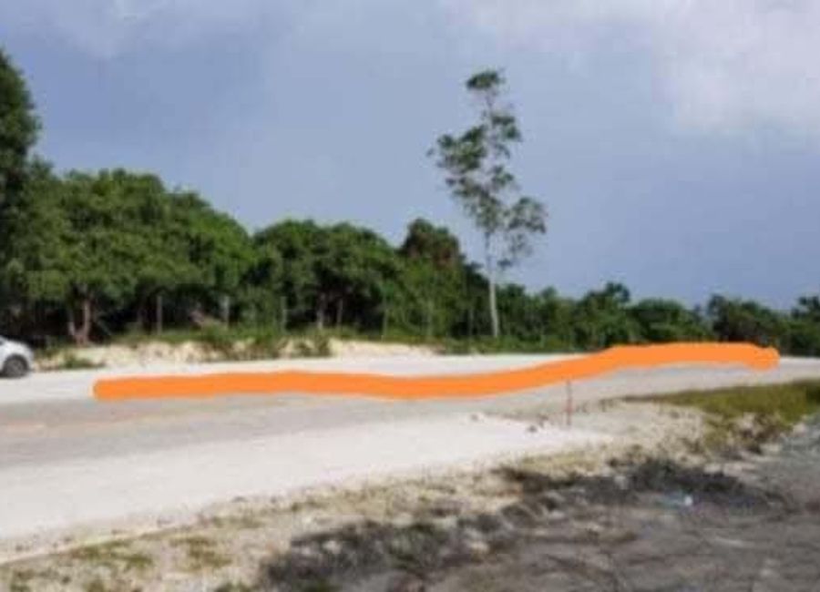 Along Highway Titled Lot for Sale in Palawan