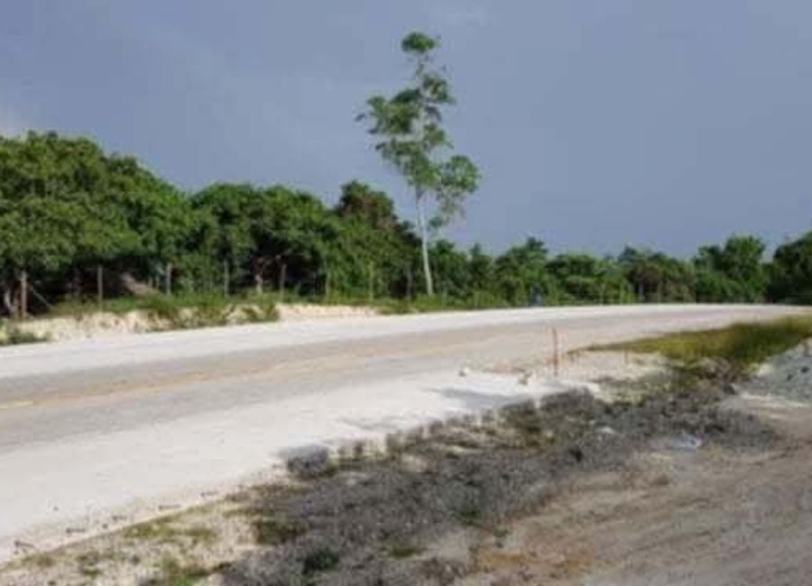 Along Highway Titled Lot for Sale in Palawan