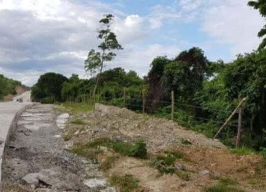 Along Highway Titled Lot for Sale in Palawan