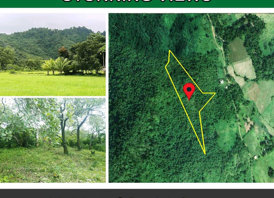 23,937 m2 / 5.91 Acres | Fertile Homestead with Overlooking Views