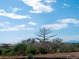 LOT FOR SALE IN PLAYA CALATAGAN VILLAGE