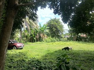 LOT FOR SALE IN DUMAGUETE CITY ID 14960