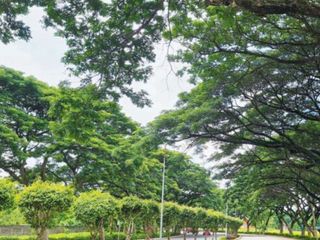 RESIDENTIAL LOT FOR SALE IN SAVANNAH TRAILS D, OTON