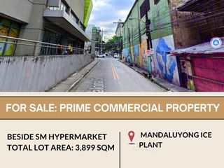FOR SALE Prime Commercial or for residential high-rise located in Mandaluy