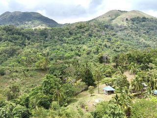 Prime Farm Lots near Tagaytay