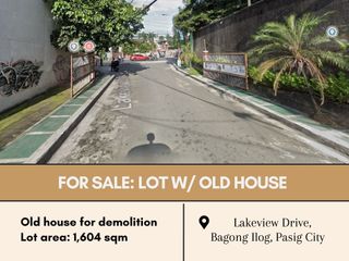 For Sale: Lot w/ old house located at Lakeview Drive, Bagong Ilog, Pasig City