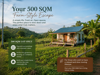 Farm Lot For Sale in Mandog Maasin Iloilo near airport