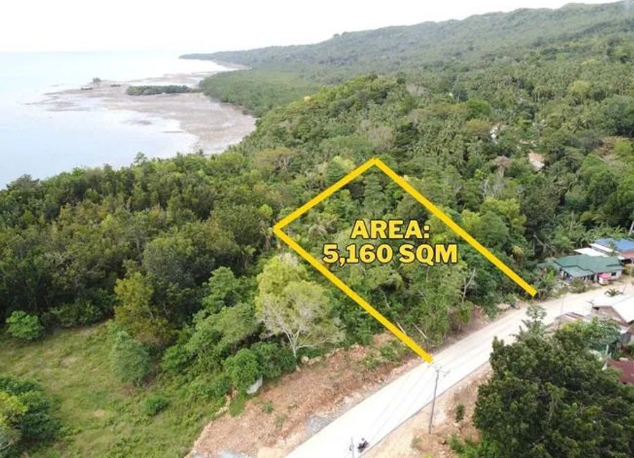 Prime 5,160 SQM Sea-View Lot for Sale – San Francisco, Camotes Island, Cebu