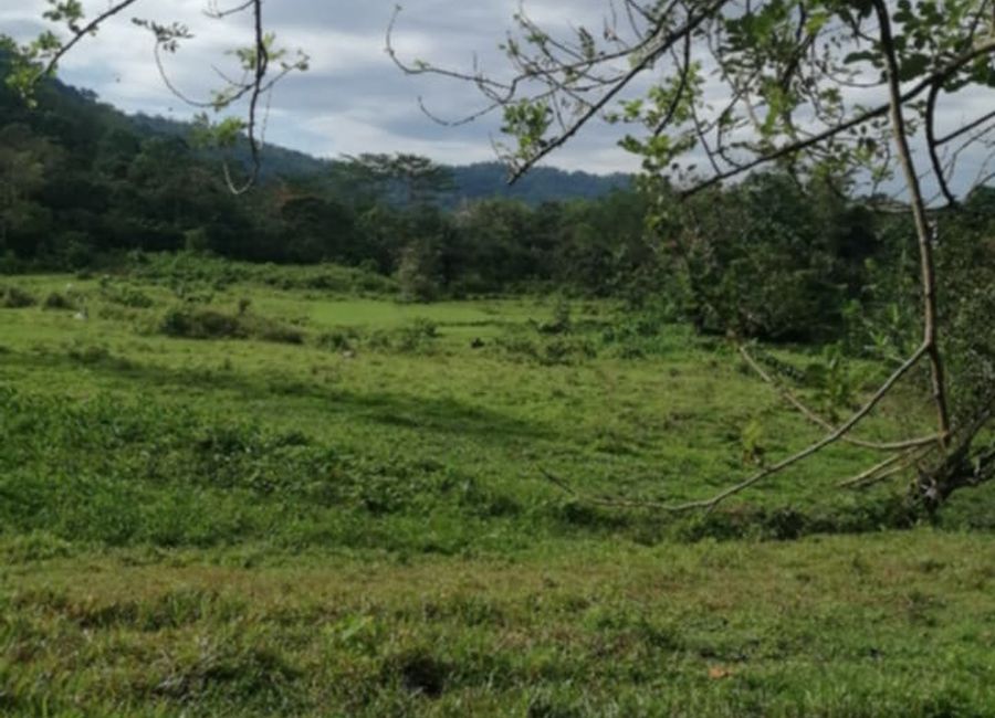 4.1-hectares farm lot In Kiliog,Libona