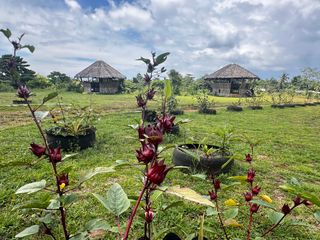 4.6-hectare Organic Farm Lot for sale in Dauis, Panglao, Bohol