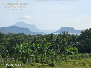 AGRICULTURAL LOT FOR SALE IN TANAUAN BATANGAS