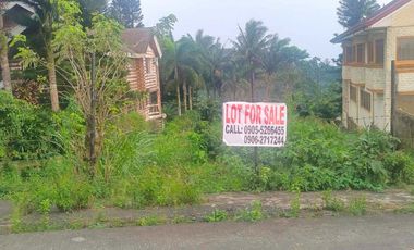 Residential Lot for sale – Banawan St., Brgy. Iruhin East, Tagaytay City