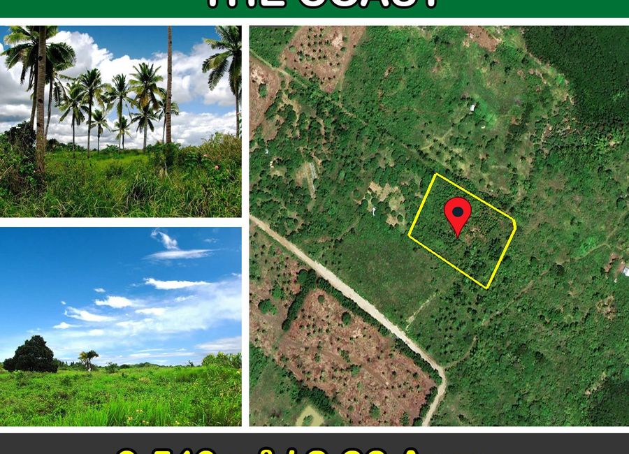 9,546 m2 / 2.36 Acres | Prime Land Next to the Coast