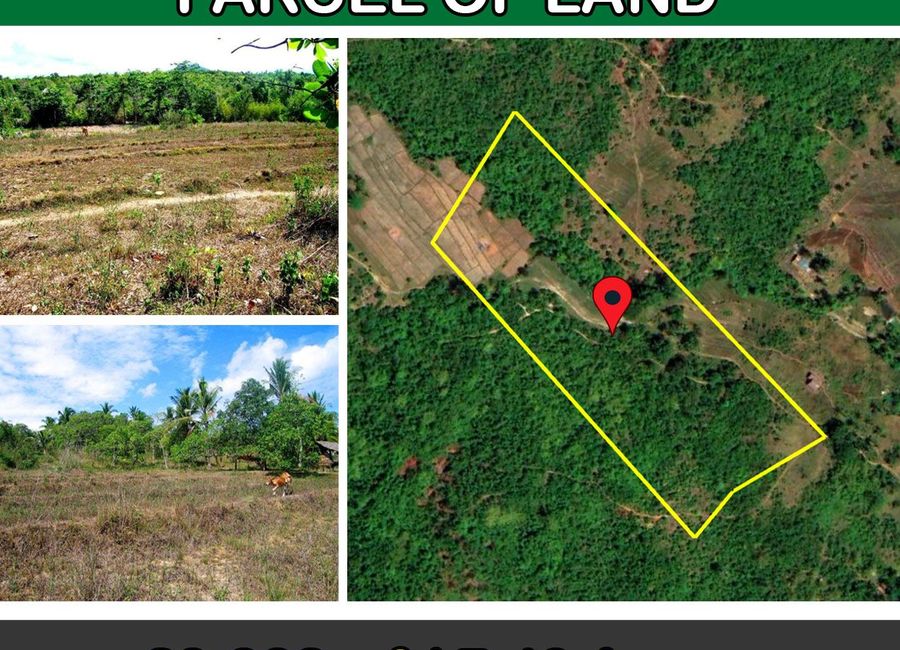 29,932 m2 / 7.40 Acres | Homestead Estate for Peaceful Living