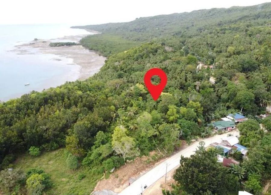 Panoramic Ocean View Land for Sale – Camotes Island, Cebu, Philippines